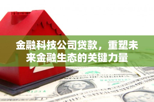 甘孜金融科技公司贷款，重塑未来金融生态的关键力量