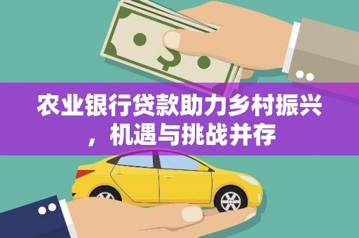 甘孜农业银行贷款助力乡村振兴，机遇与挑战并存