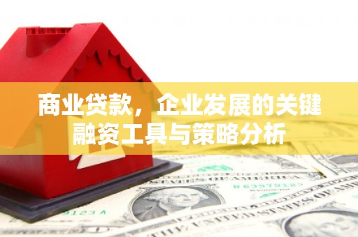 甘孜商业贷款，企业发展的关键融资工具与策略分析