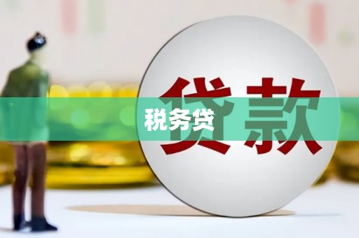 甘孜税务贷