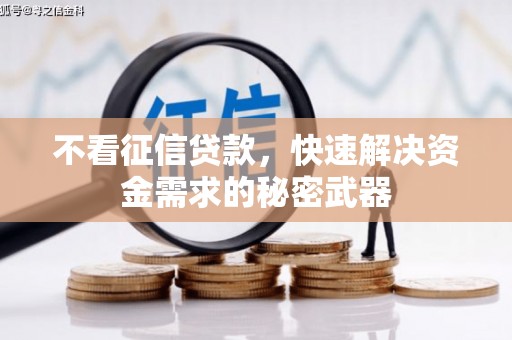 甘孜不看征信贷款，快速解决资金需求的秘密武器