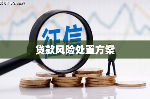 甘孜贷款风险处置方案