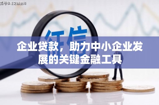 甘孜企业贷款，助力中小企业发展的关键金融工具