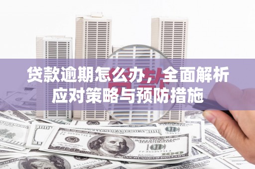 甘孜贷款逾期怎么办，全面解析应对策略与预防措施