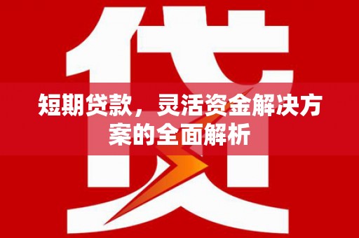 甘孜短期贷款，灵活资金解决方案的全面解析