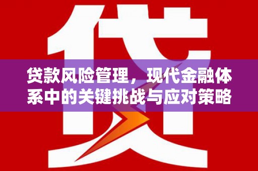甘孜贷款风险管理，现代金融体系中的关键挑战与应对策略