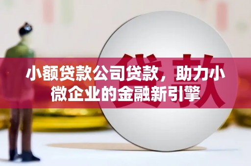 甘孜小额贷款公司贷款，助力小微企业的金融新引擎