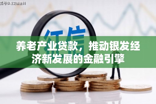 甘孜养老产业贷款，推动银发经济新发展的金融引擎