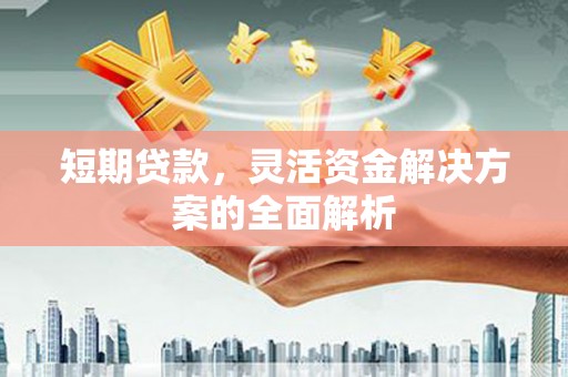 甘孜短期贷款，灵活资金解决方案的全面解析
