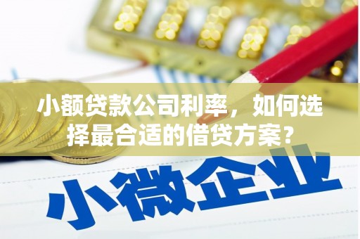 甘孜小额贷款公司利率，如何选择最合适的借贷方案？