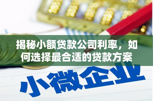甘孜揭秘小额贷款公司利率，如何选择最合适的贷款方案