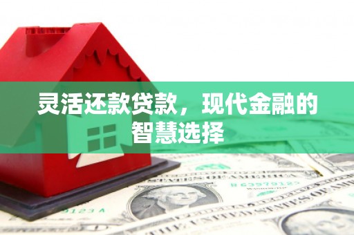 甘孜灵活还款贷款，现代金融的智慧选择