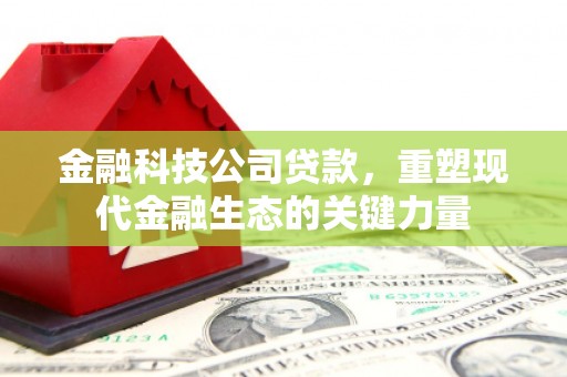 甘孜金融科技公司贷款，重塑现代金融生态的关键力量