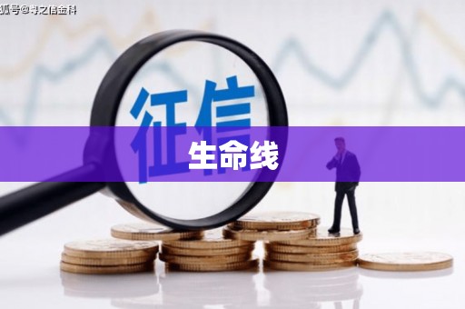 甘孜生命线