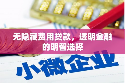 甘孜无隐藏费用贷款，透明金融的明智选择