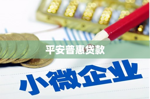 甘孜平安普惠贷款
