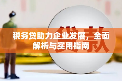 甘孜税务贷助力企业发展，全面解析与实用指南
