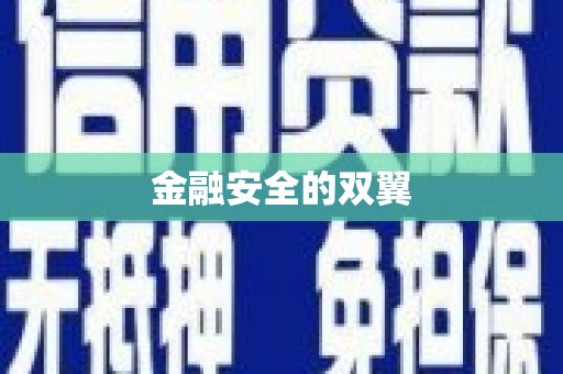 甘孜金融安全的双翼