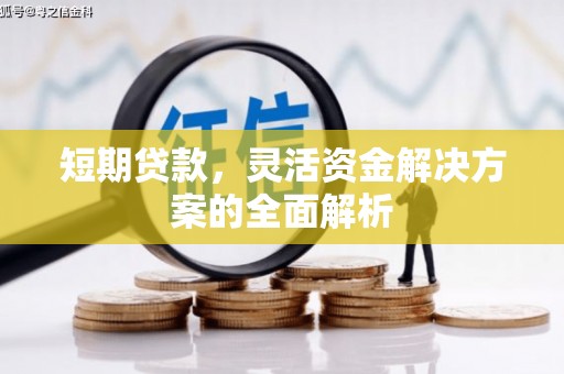 甘孜短期贷款，灵活资金解决方案的全面解析