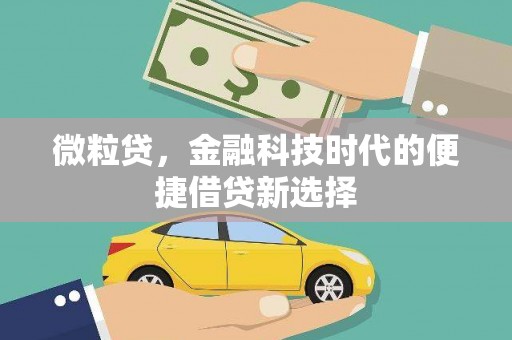甘孜微粒贷，金融科技时代的便捷借贷新选择