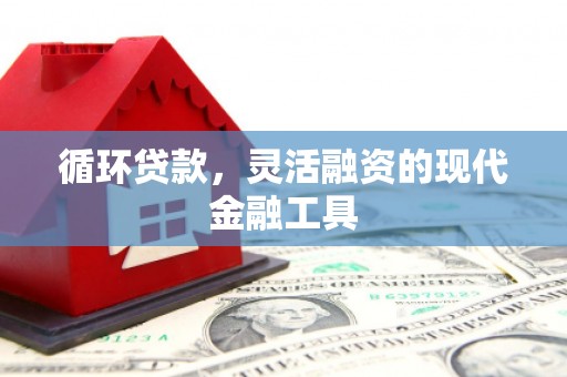 甘孜循环贷款，灵活融资的现代金融工具