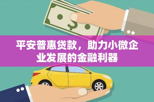 甘孜平安普惠贷款，助力小微企业发展的金融利器