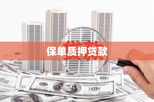 甘孜保单质押贷款