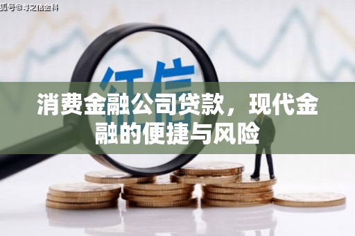 甘孜消费金融公司贷款，现代金融的便捷与风险