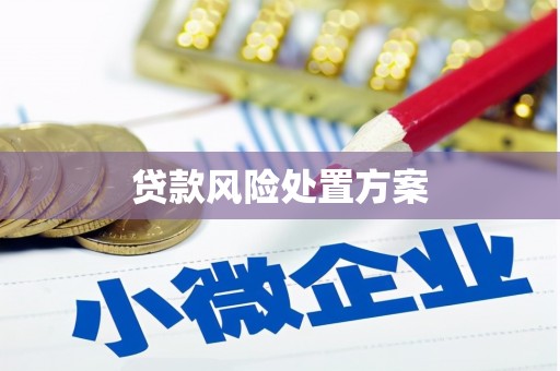 甘孜贷款风险处置方案