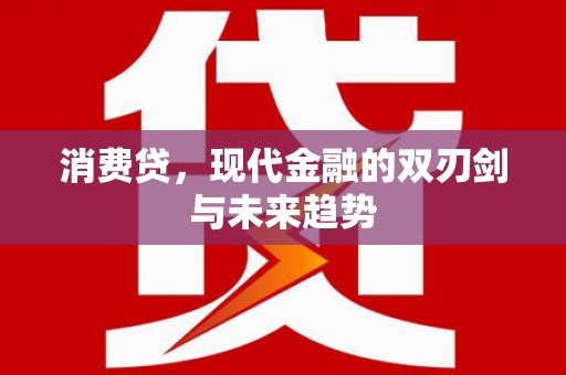 甘孜消费贷，现代金融的双刃剑与未来趋势