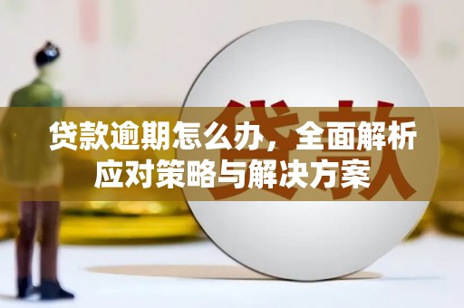 甘孜贷款逾期怎么办，全面解析应对策略与解决方案