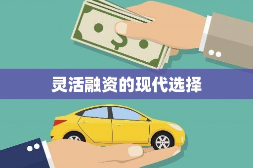 甘孜灵活融资的现代选择