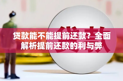 甘孜贷款能不能提前还款？全面解析提前还款的利与弊