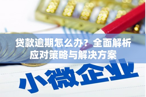 甘孜贷款逾期怎么办？全面解析应对策略与解决方案
