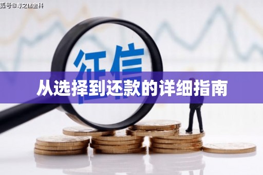 甘孜从选择到还款的详细指南