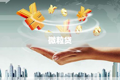 甘孜微粒贷