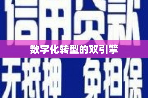 甘孜数字化转型的双引擎