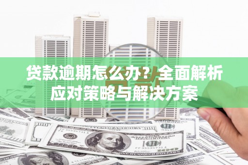 甘孜贷款逾期怎么办？全面解析应对策略与解决方案