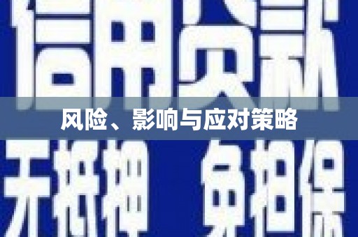 甘孜风险、影响与应对策略