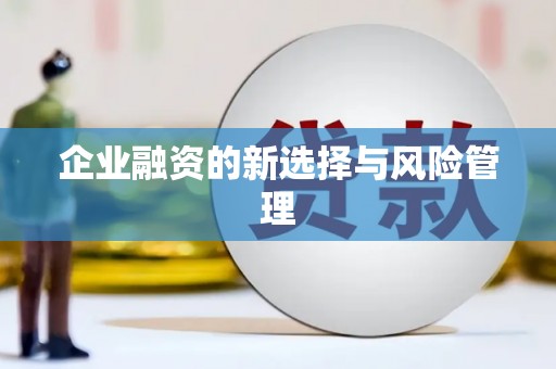 甘孜企业融资的新选择与风险管理