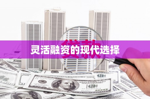 甘孜灵活融资的现代选择