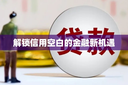 甘孜解锁信用空白的金融新机遇
