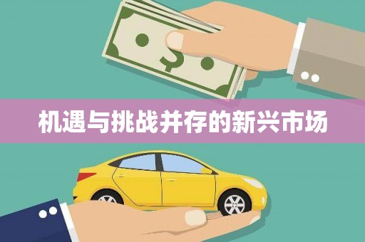 甘孜机遇与挑战并存的新兴市场