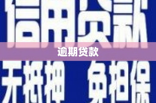 甘孜逾期贷款