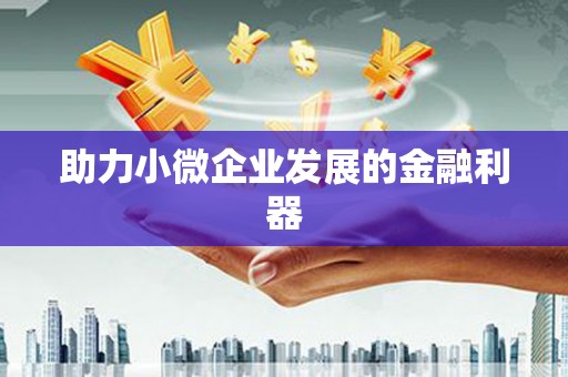 甘孜助力小微企业发展的金融利器