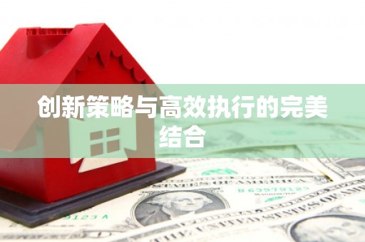 甘孜创新策略与高效执行的完美结合