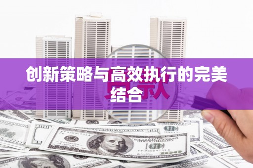 甘孜创新策略与高效执行的完美结合