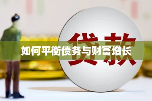 甘孜如何平衡债务与财富增长