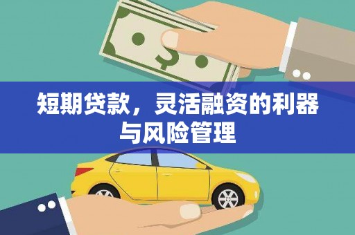 甘孜短期贷款，灵活融资的利器与风险管理