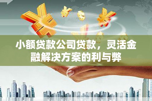 甘孜小额贷款公司贷款，灵活金融解决方案的利与弊